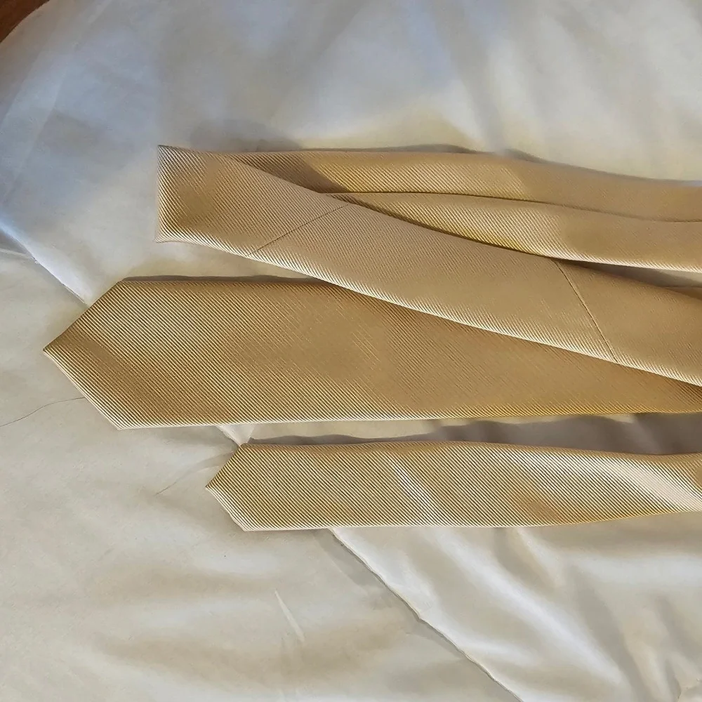 Elegant Champagne Gold Textured‎ Necktie for Men Formal Business Accessory